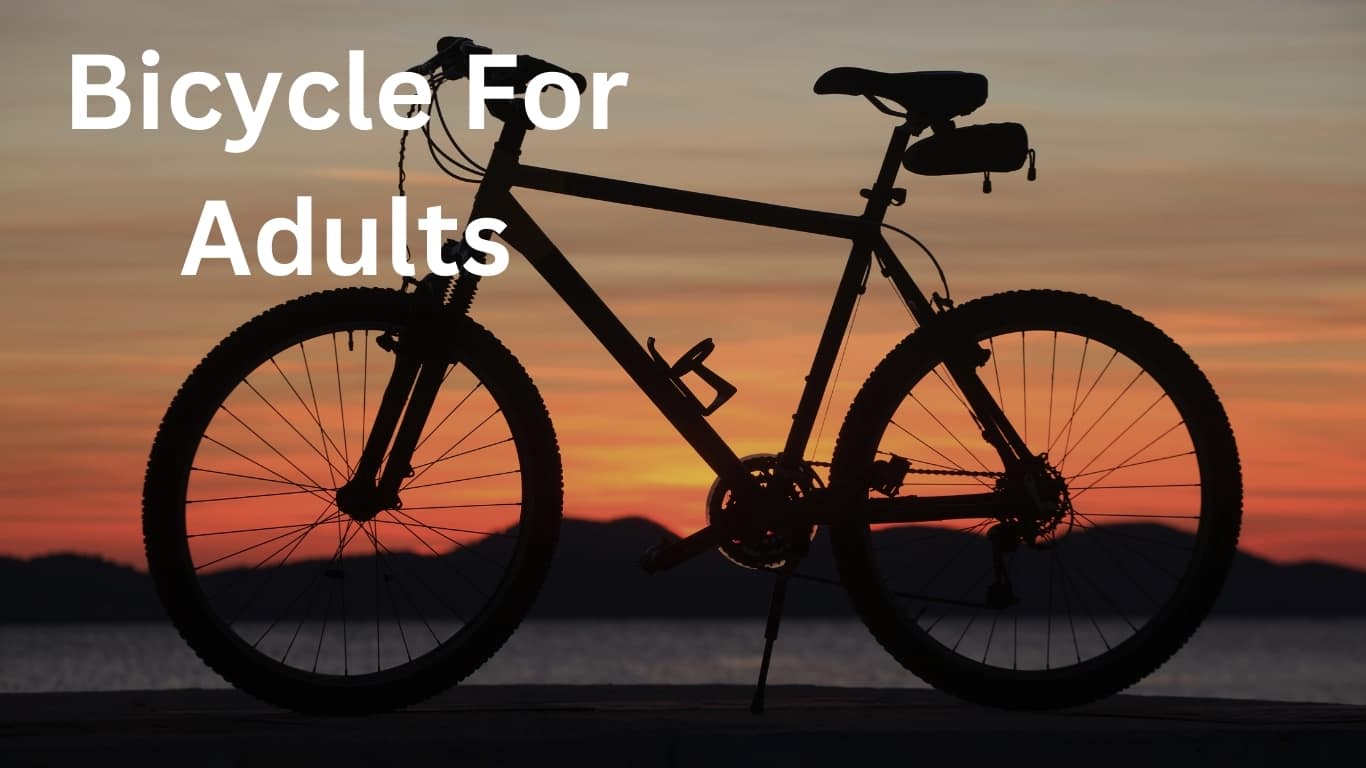 Bicycle For Adults